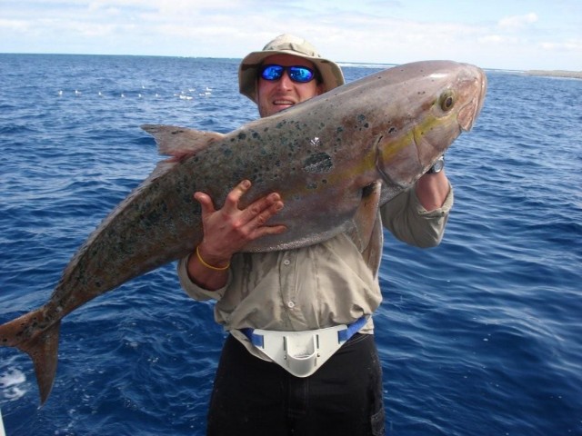 Abrolhos Amber