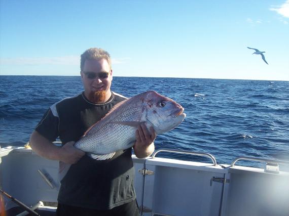 Jurien snapper 