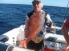 red off dampier back of the ships