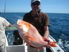 XL RED caught off the dampier coast