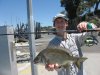 other big bream