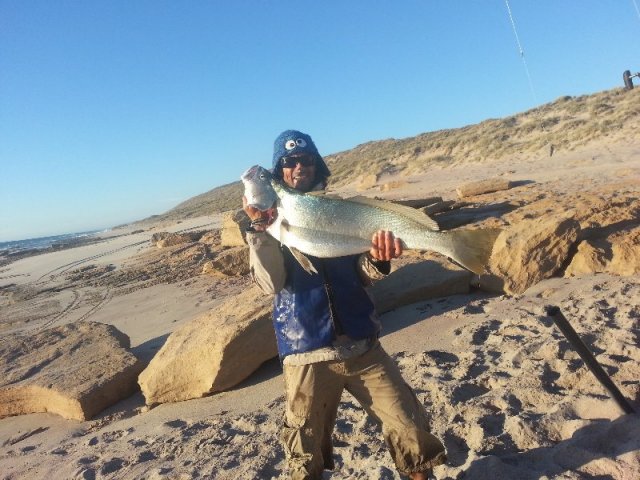 kalbarri croakers