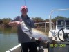 Another Pilbara Barramundi