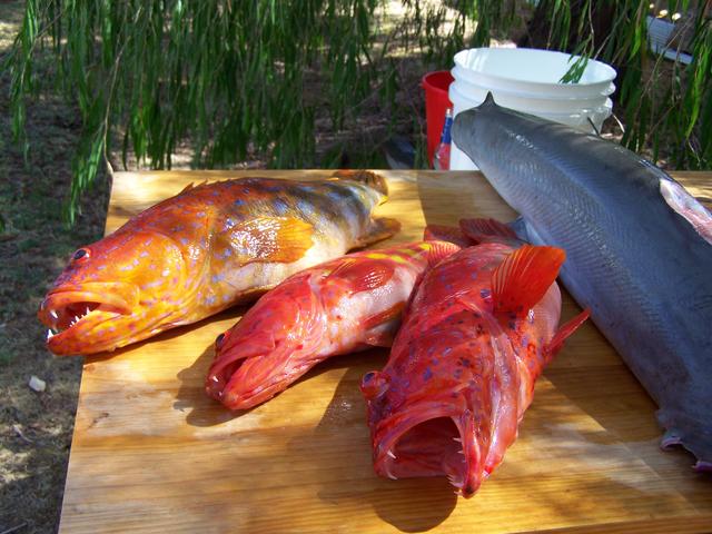 Nice trip out of Dunsborough