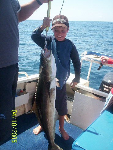 Trav's Cobia