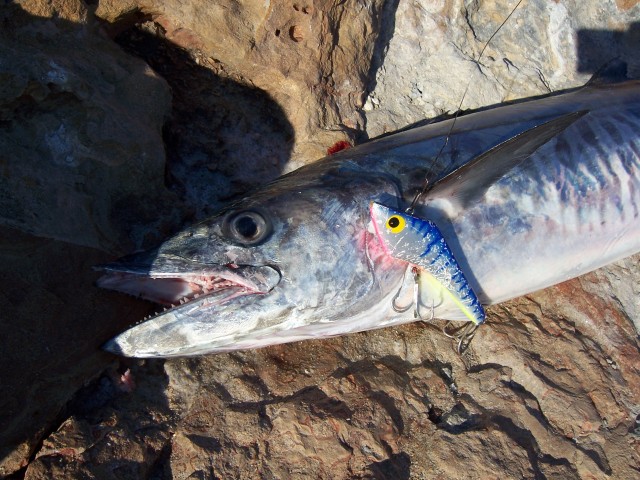 Steep point lure selection