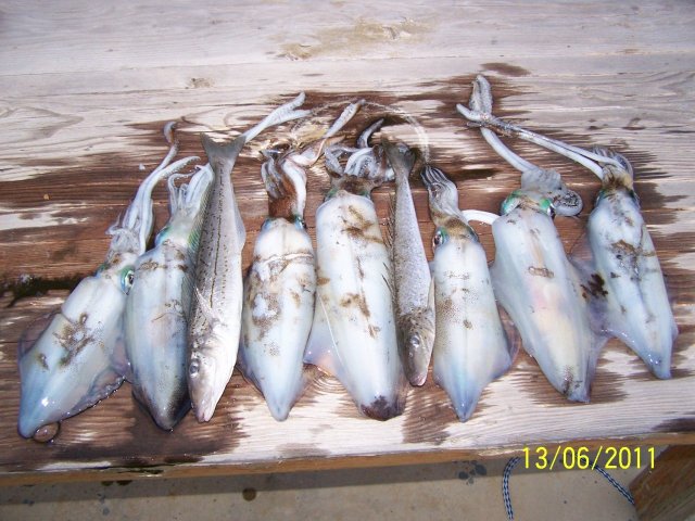 Yesterdays catch