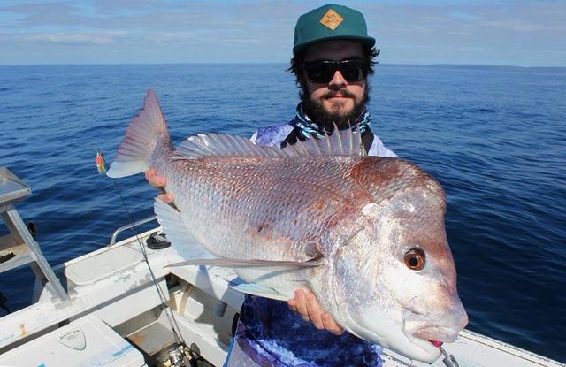 Pink Snapper angle