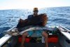 Smalldog's Sailfish