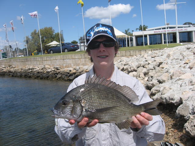 39 cm bream