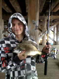 Canning bridge bream on crabs