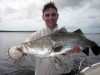 Bob's Cape York barra