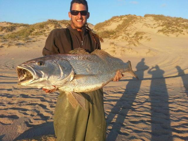 posible potm 25kg mulloway 