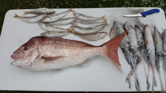 Seafood basket