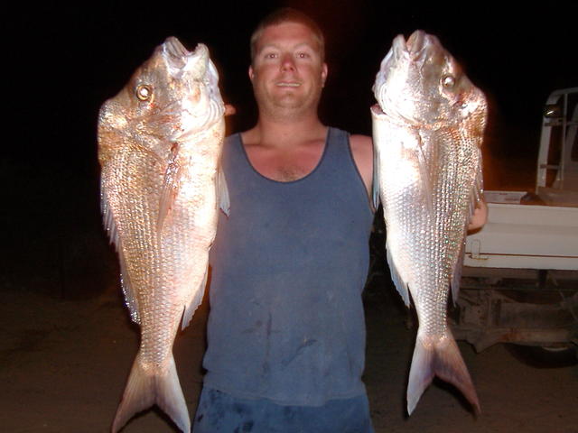 A couple of good sized pinks from steep point