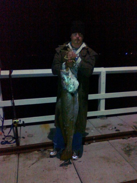 busso jetty mulloway