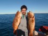 pilbara trout