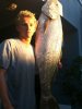 mulloway