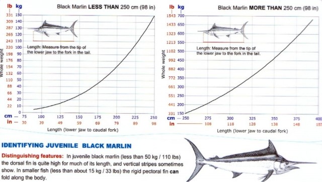 Marlin weight to length chart  Fishing - Fishwrecked.com