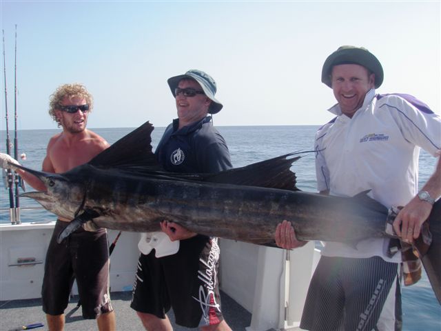 Big SailFish