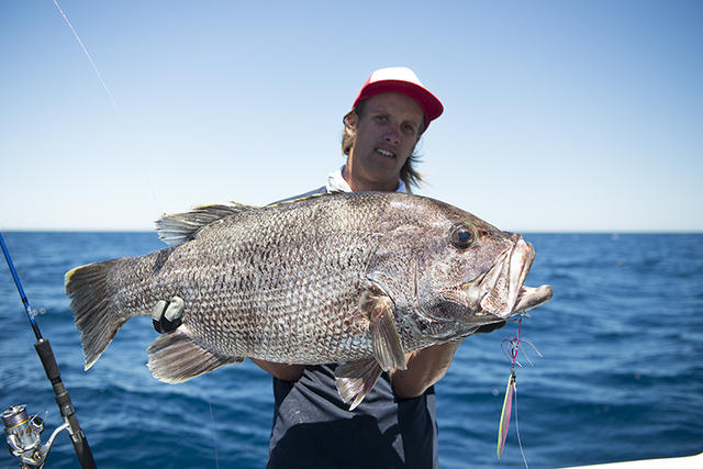 Jigged Mindarie Dhu