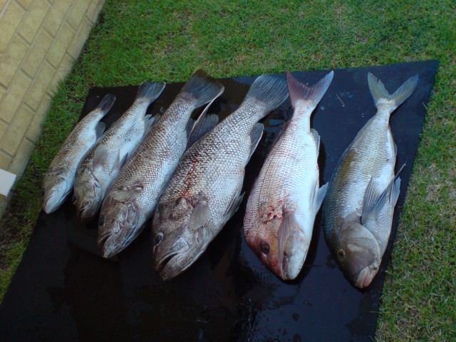 Sunday Fishing of Bunbury