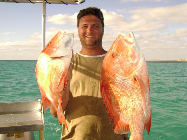 coral bay 2008 red emporer and much more