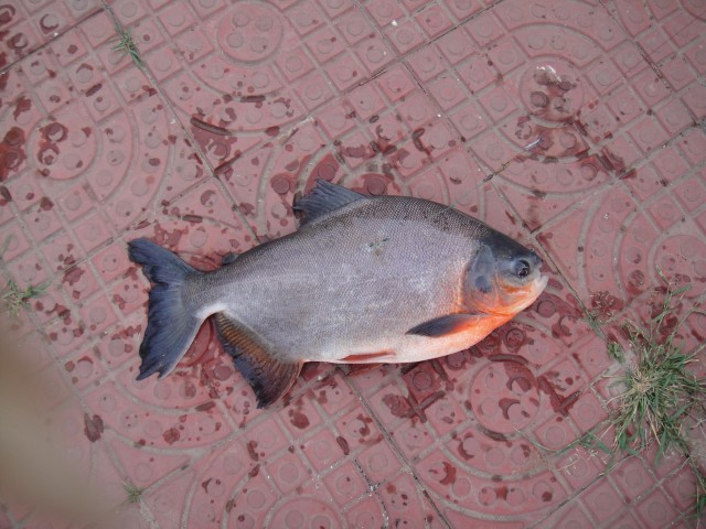 fishing in beijing