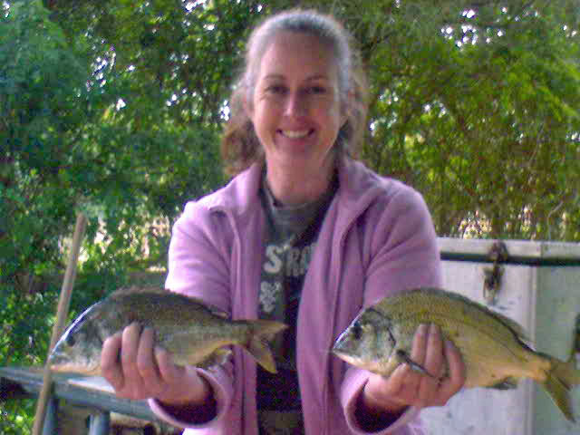 my wifes bream