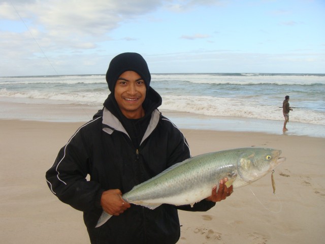 2010 Salmon