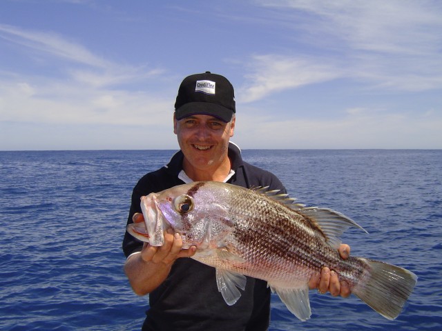 Mindarie Dhuie 15 Oct 2006