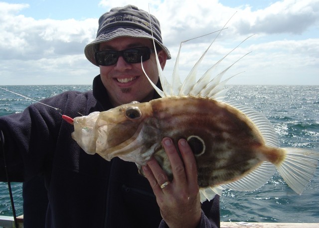 John Dory on soft plastic