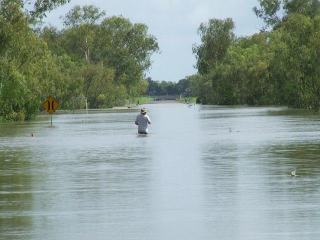 Croc bait