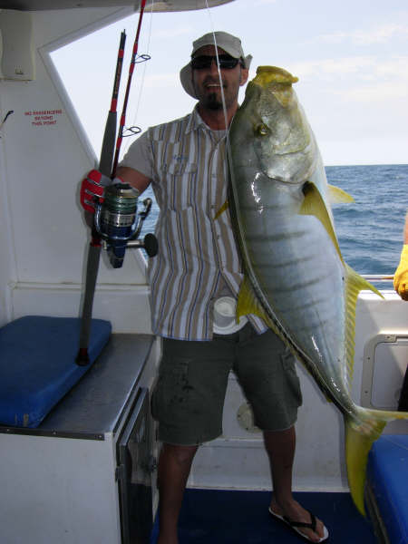 Golden Trevally