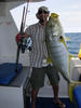 Golden Trevally