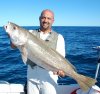 Knotbigenuff's Mulloway