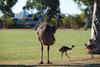 Exmouth Backpacker