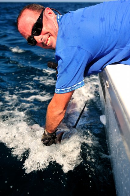 Jack swimming a Black before release