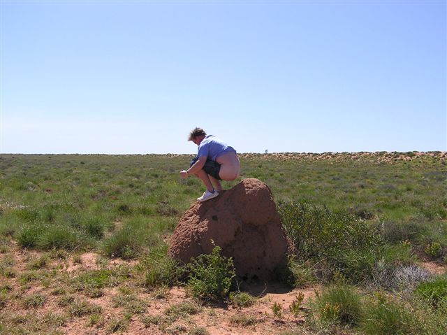 Dan having a dump .