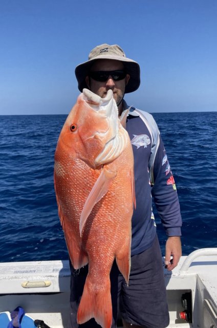 Kalbarri Red