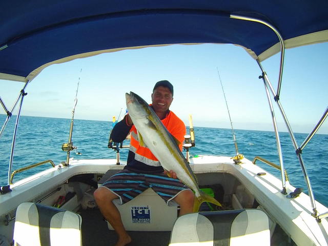 mindarie ,yellow tail king 