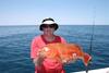 Big John's Coral Trout