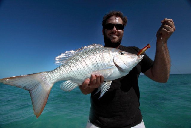 Kelvin8tors first ever popped shallow water Spango