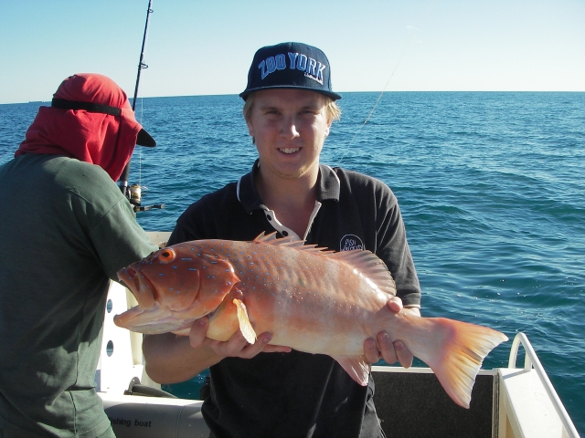 Coral Trout 13/5/07