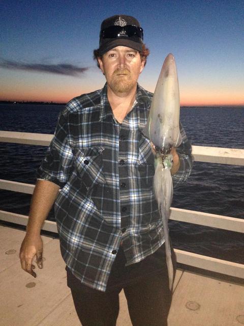 busselton jetty squid