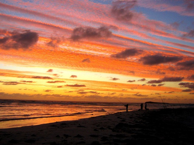 wedge at night fall