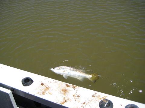 Barra Boatside