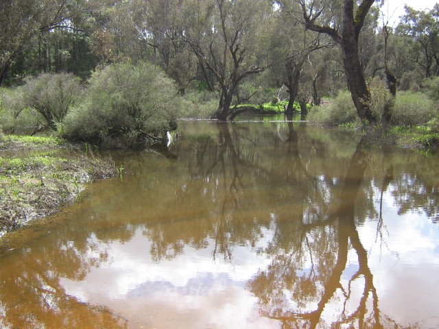 Fishing the south west