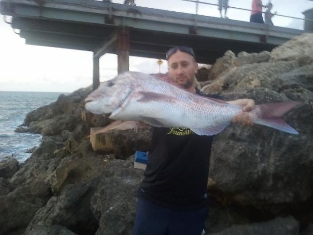 18lbs pink snapper caught from the shore at Mindarie