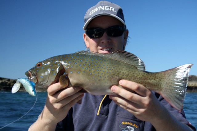 Trout on soft plastic